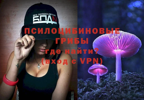 не бодяженный Алексин