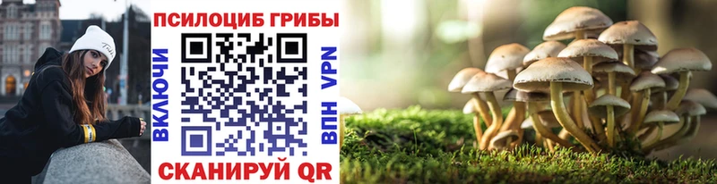 Галлюциногенные грибы Magic Shrooms Фёдоровский